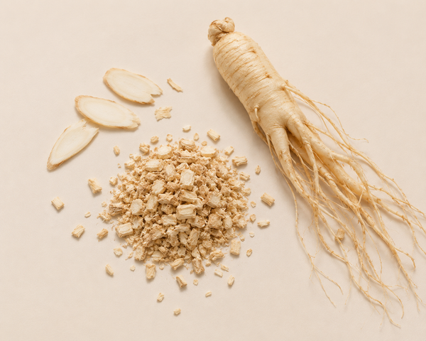 Extrait de ginseng